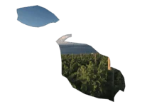 Podgorie cu viță de vie și lac în fundal.